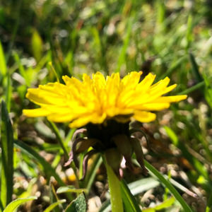 Meet your Posher, Wendi